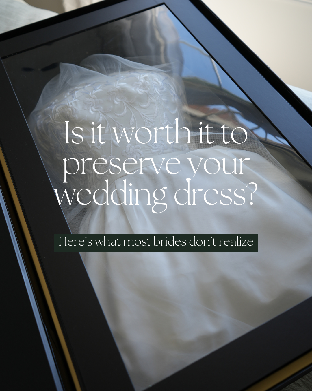 Black box with a gold letter 'Q' and floral design, with a black handle on the side, placed on a table with a white tablecloth, in front of a large green plant.