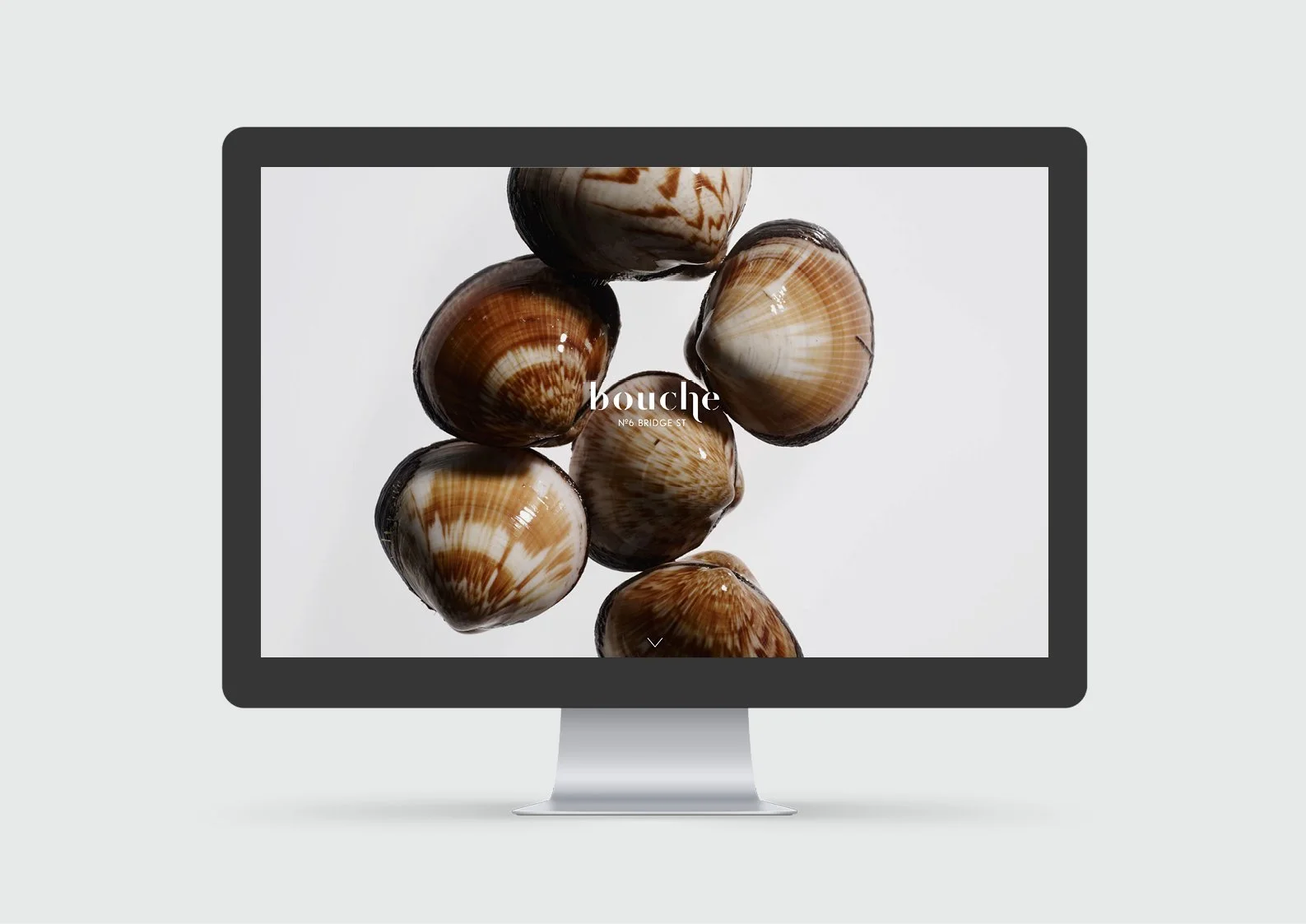 Mr Kelly Brand Design82.jpg