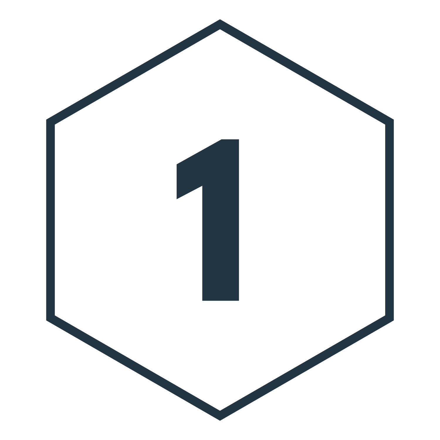 Number one inside a hexagon outline