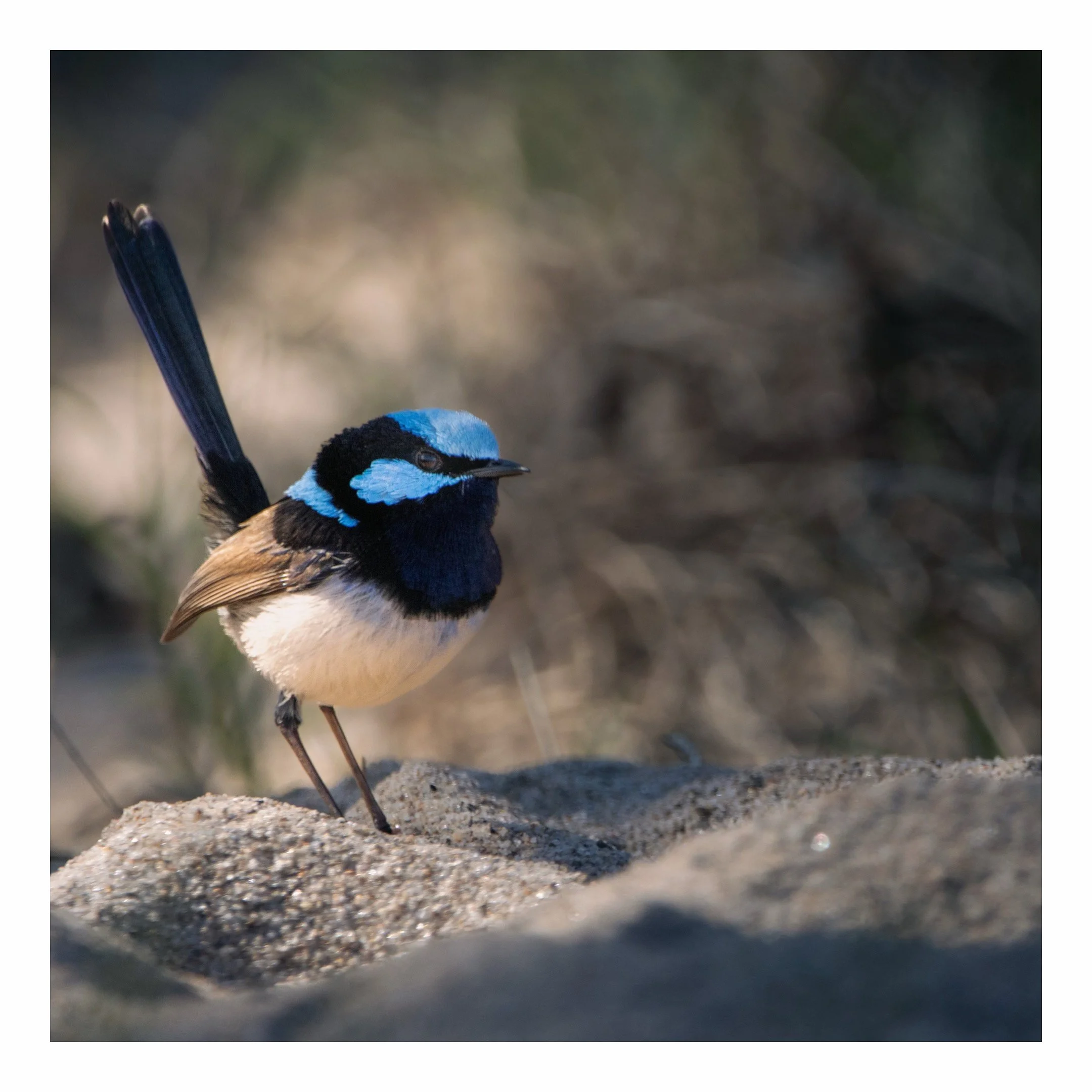 65A42D24-62F2-4E2C-A103-4F3979A7067D 2.JPG