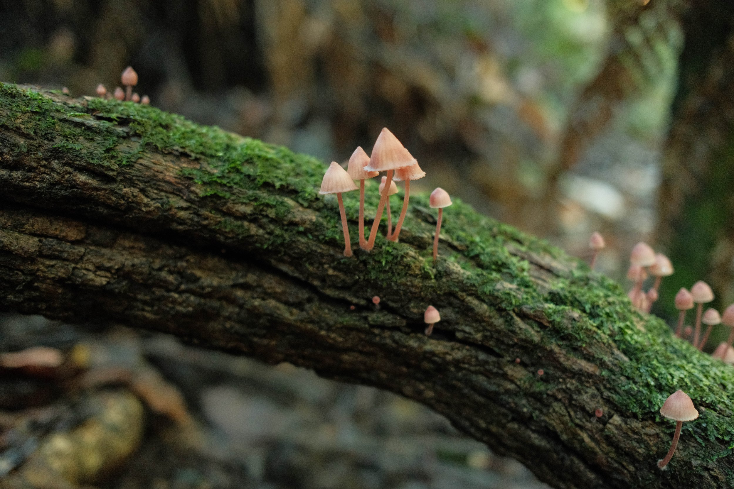 DSCF5557.jpg