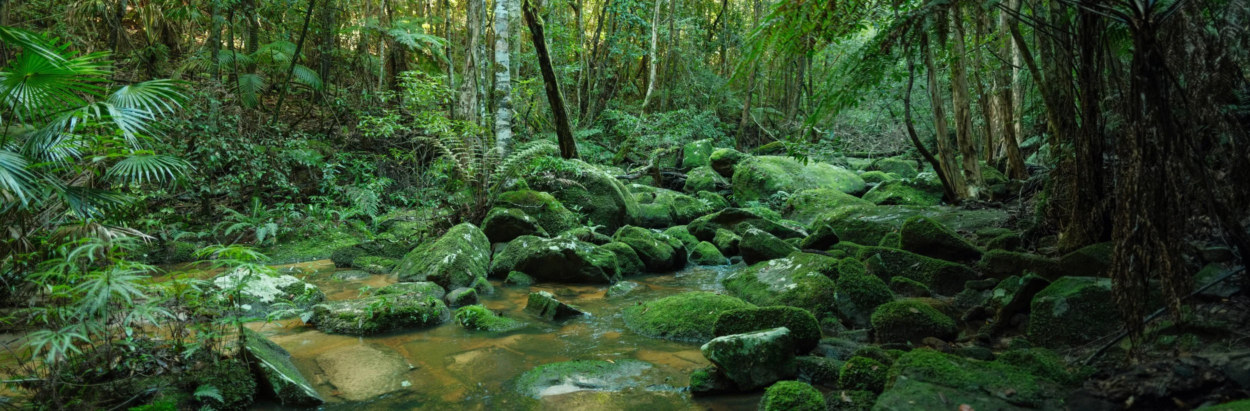 DSCF5506-Pano.jpg