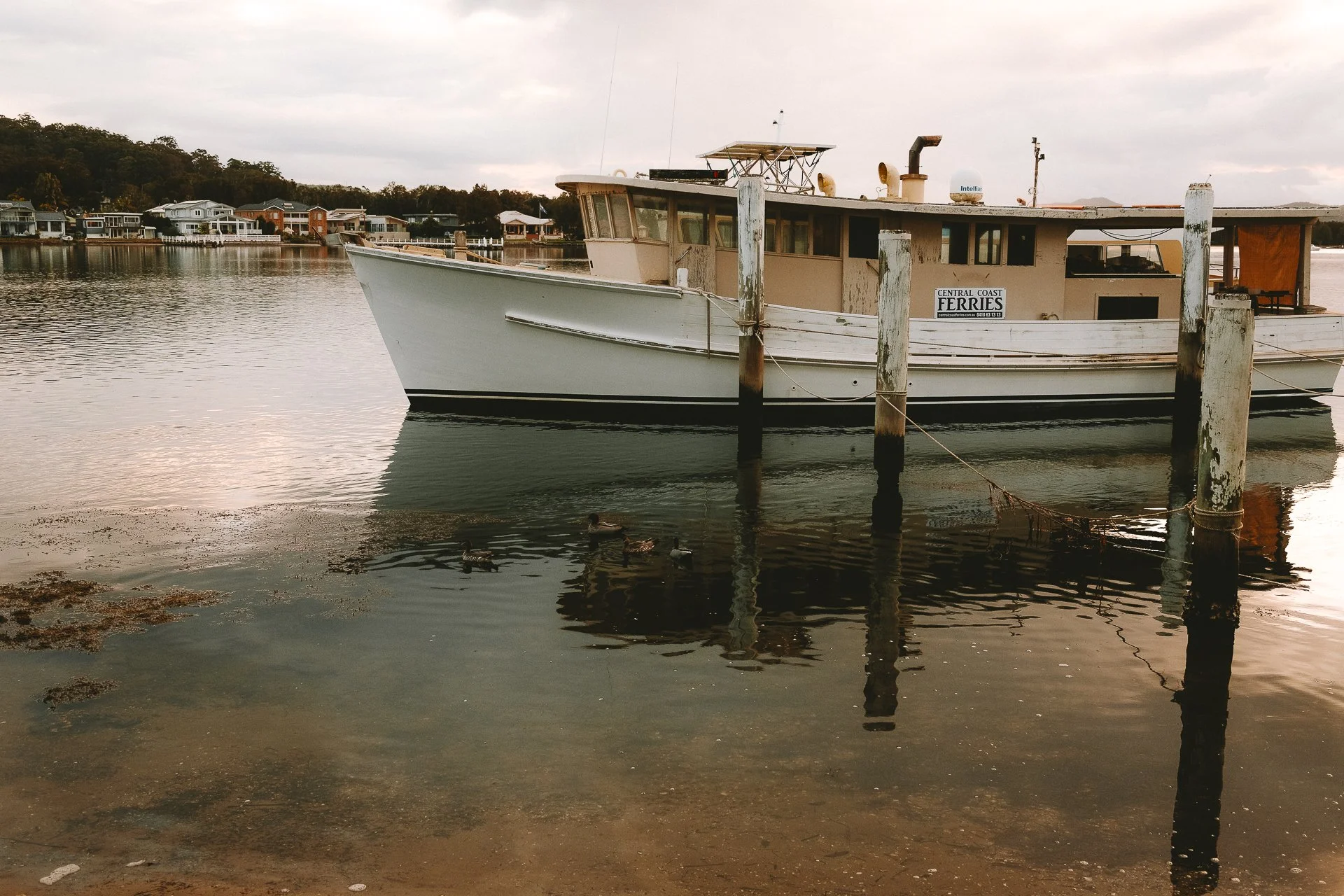 DSCF7459.jpg