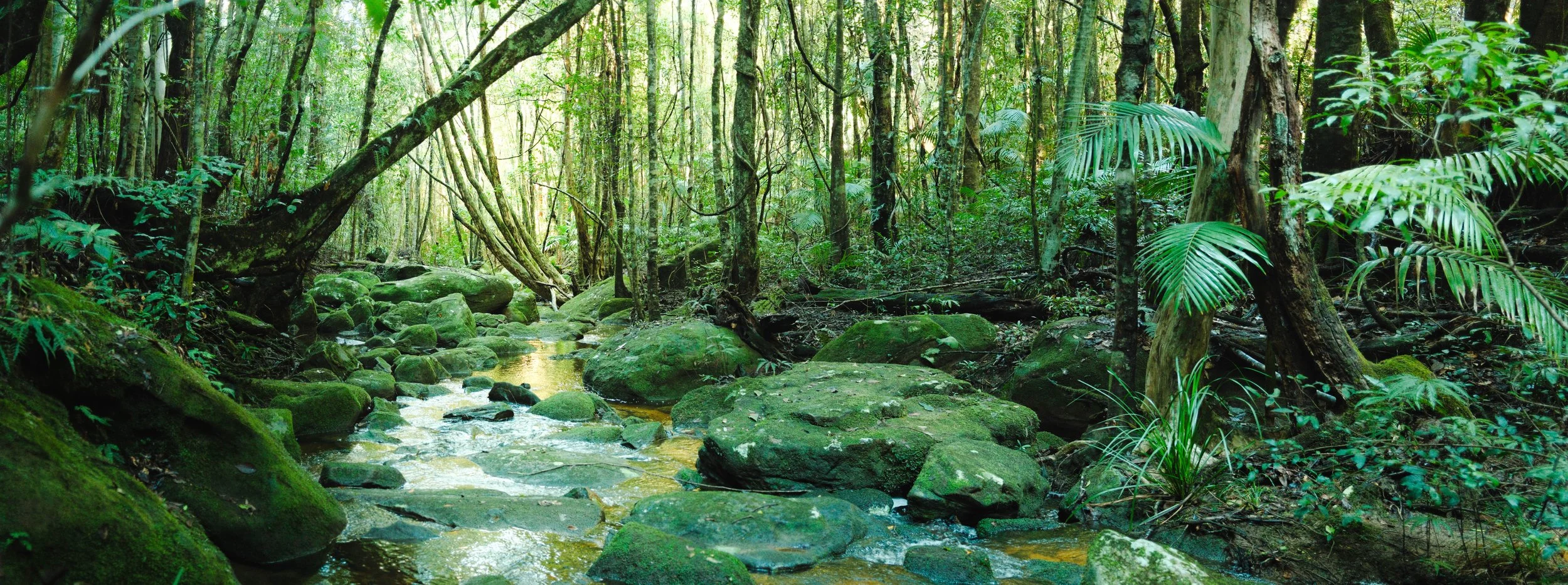 DSCF5529-Pano.jpg