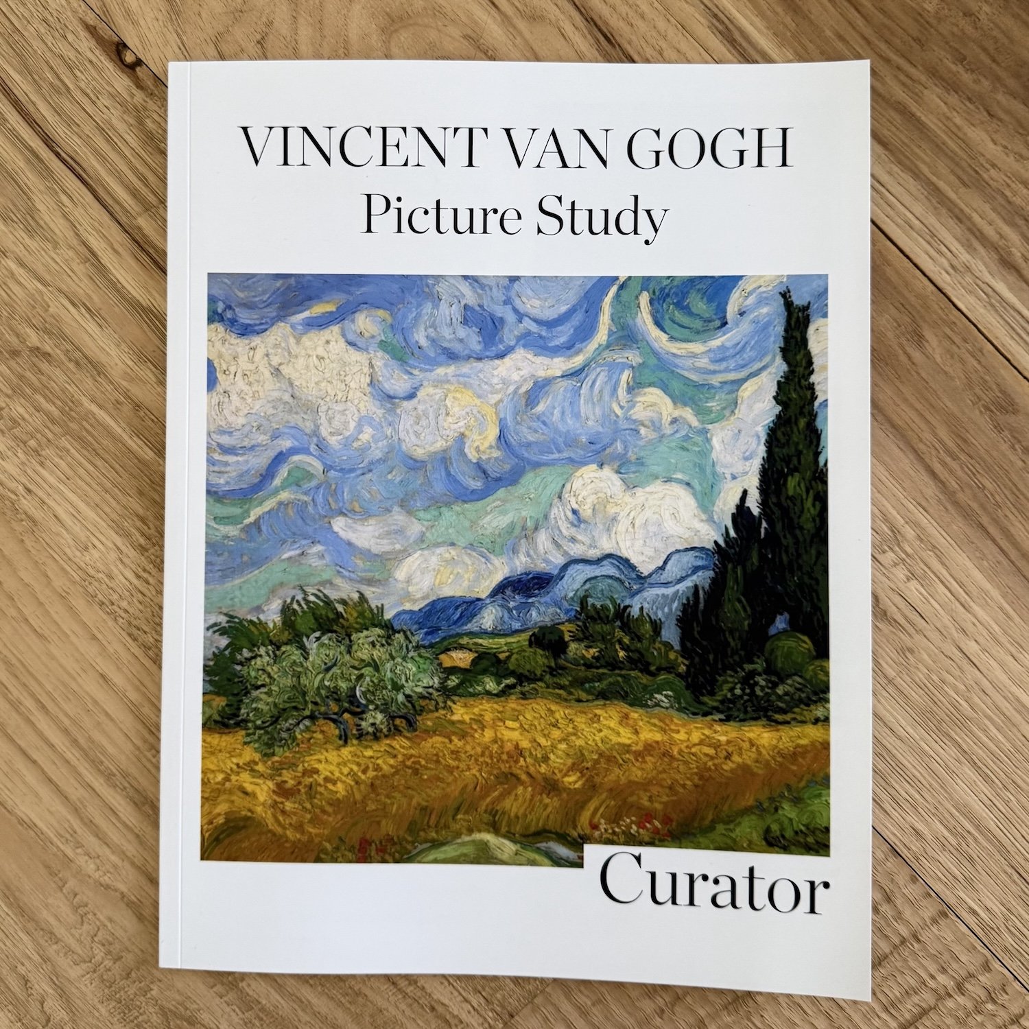 PICTURE STUDY VINCENT VAN GOGH