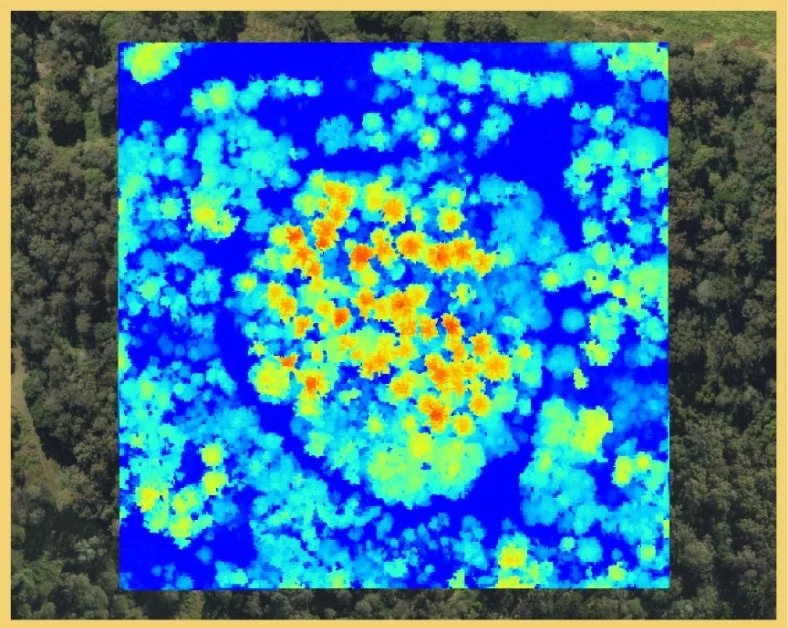 GIS & Geospatial Services
