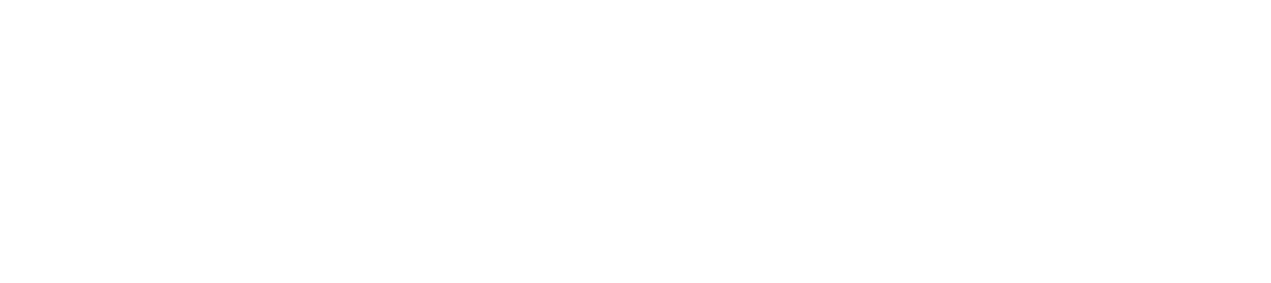 The word "WELLNESS" in large, bold, white letters on a black background.