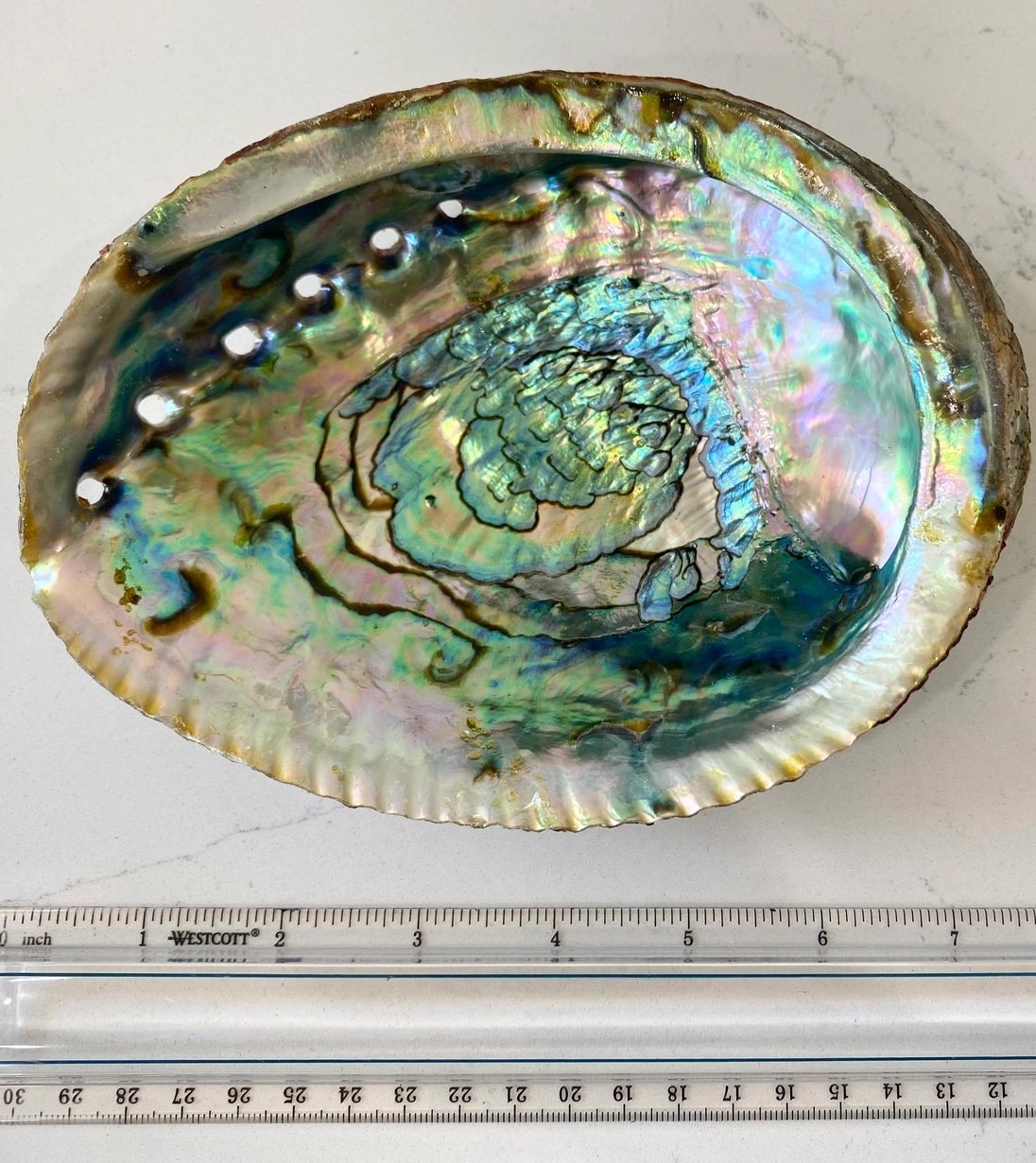 Abalone Shell Smudge Bowls (Large) 3.jpeg