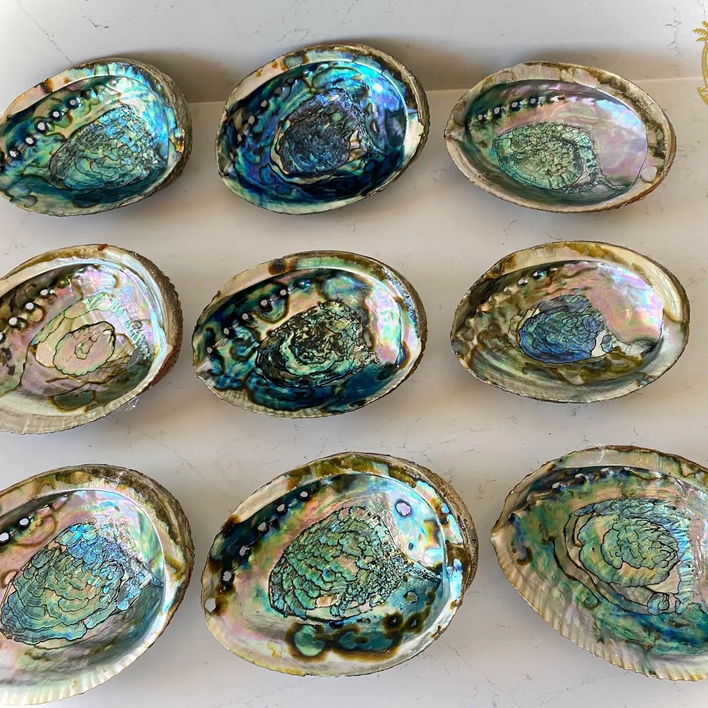 Abalone Shell Smudge Bowls (Large).jpeg