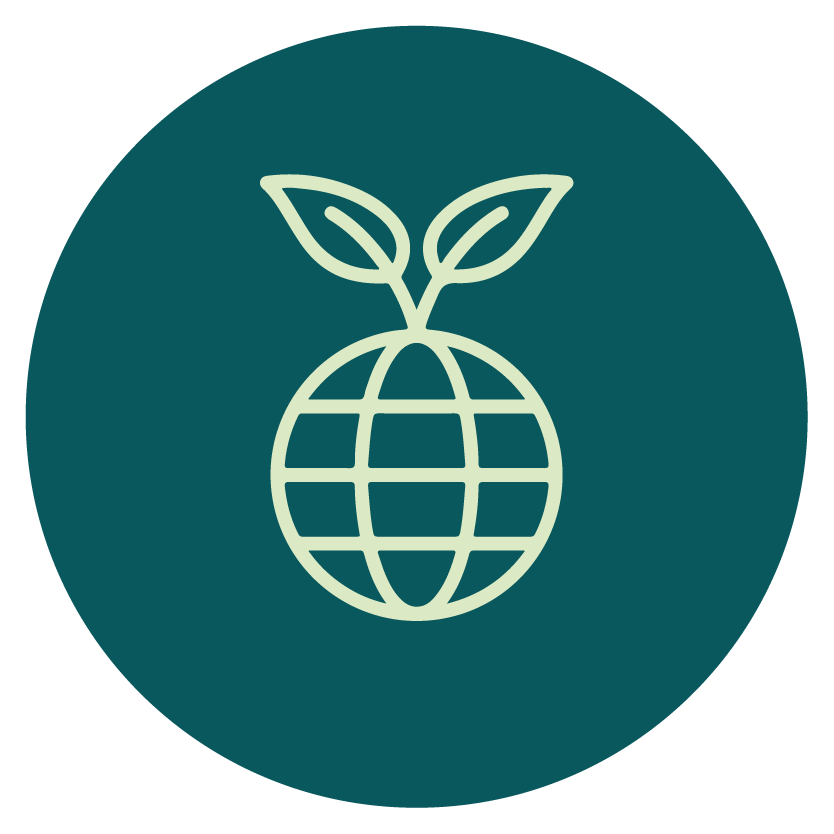 nina-greener-cleaner-about-icons-37.png