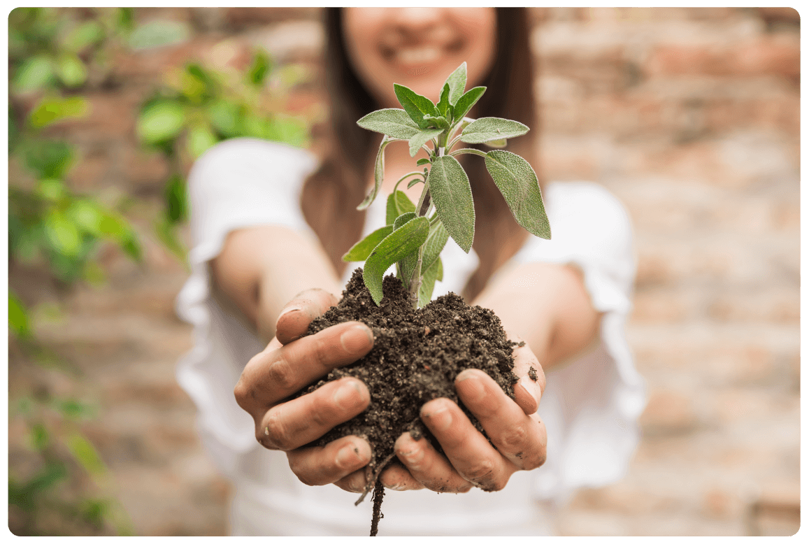 nina-greener-cleaner-home-12.png