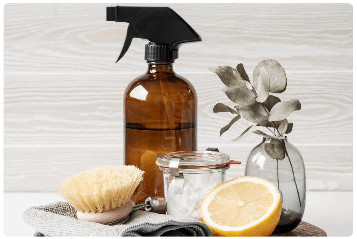 nina-greener-cleaner-home-07.png