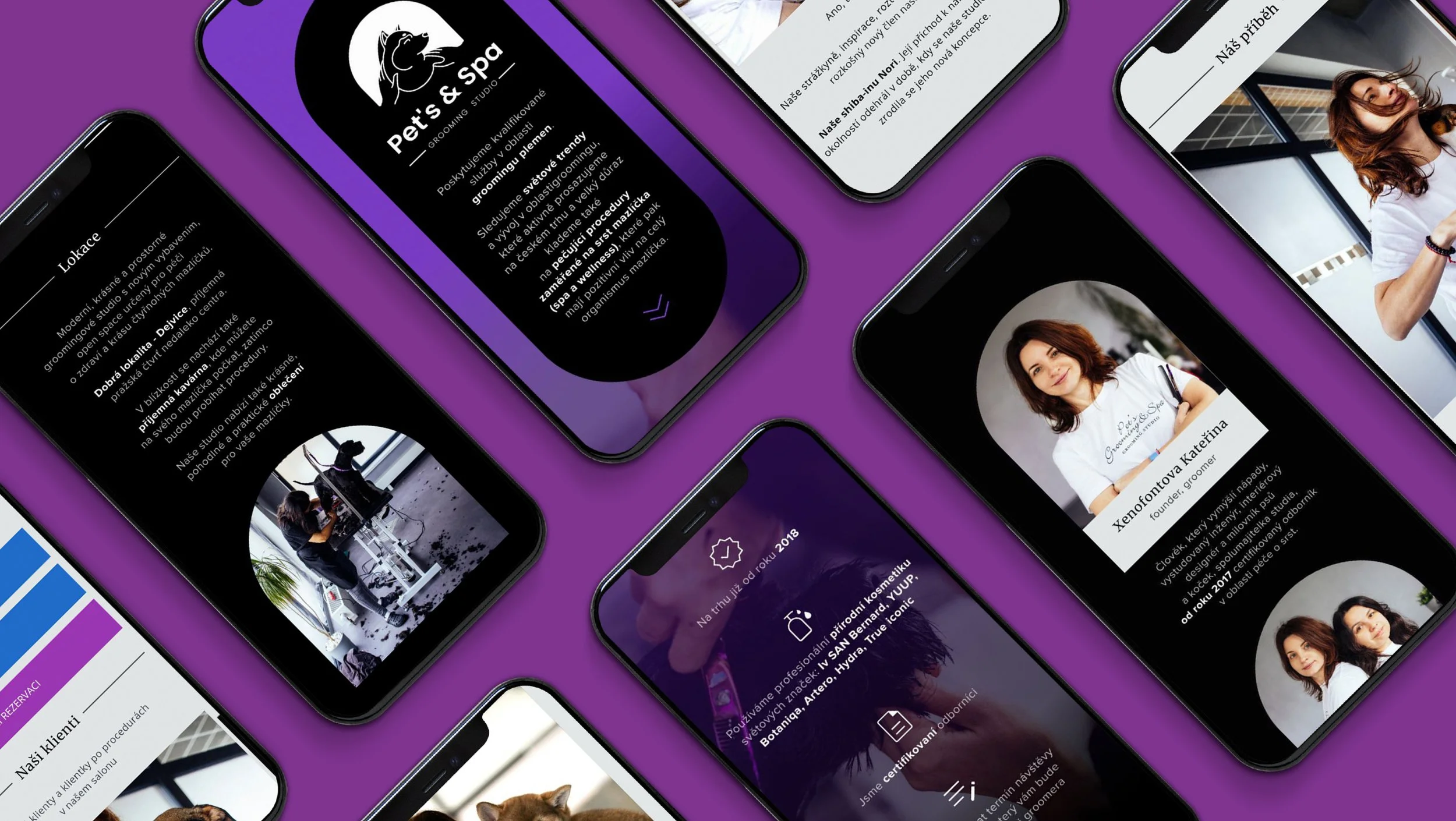 Pet’s grooming & Spa. Branding
