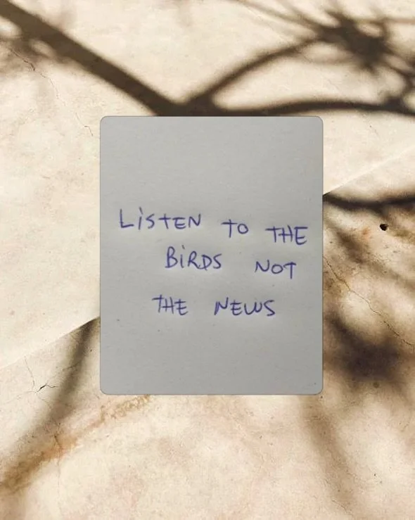 Truly, the news gets you down, the birds lift you up. 

It&rsquo;s a no brainer. 

*image taken from Pinterest under search &ldquo;creatives&rdquo;

#thenews #staycalmandcarryon #nailtechnetwork #nailtechgoals #mindfulnessquotes