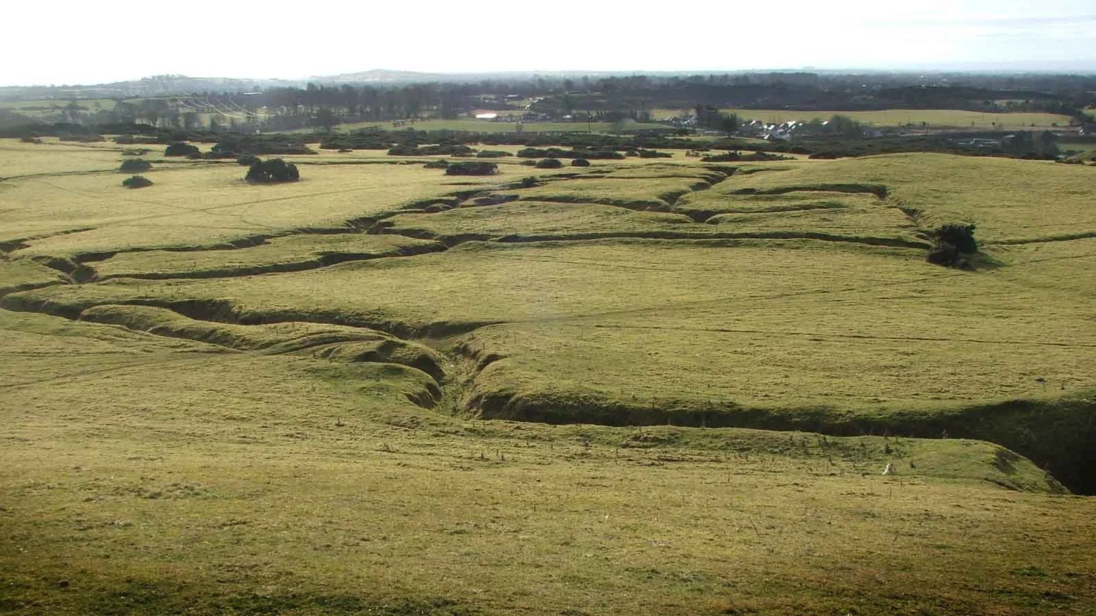 Photo of the little curragh, the plains with deep ridges in the forground, dark green clumps of hedges and trees in the background looking out towards little houses on the outskirts of Newbridge.