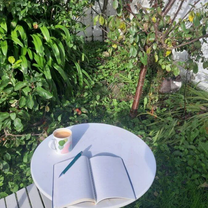 ✍️ A gentle creative space &mdash; online ✍️

This online creative writing workshop with poet Nell Regan is designed for people living with Long Covid and other isolating health conditions.

Paced, welcoming and accessible, participants are invited t