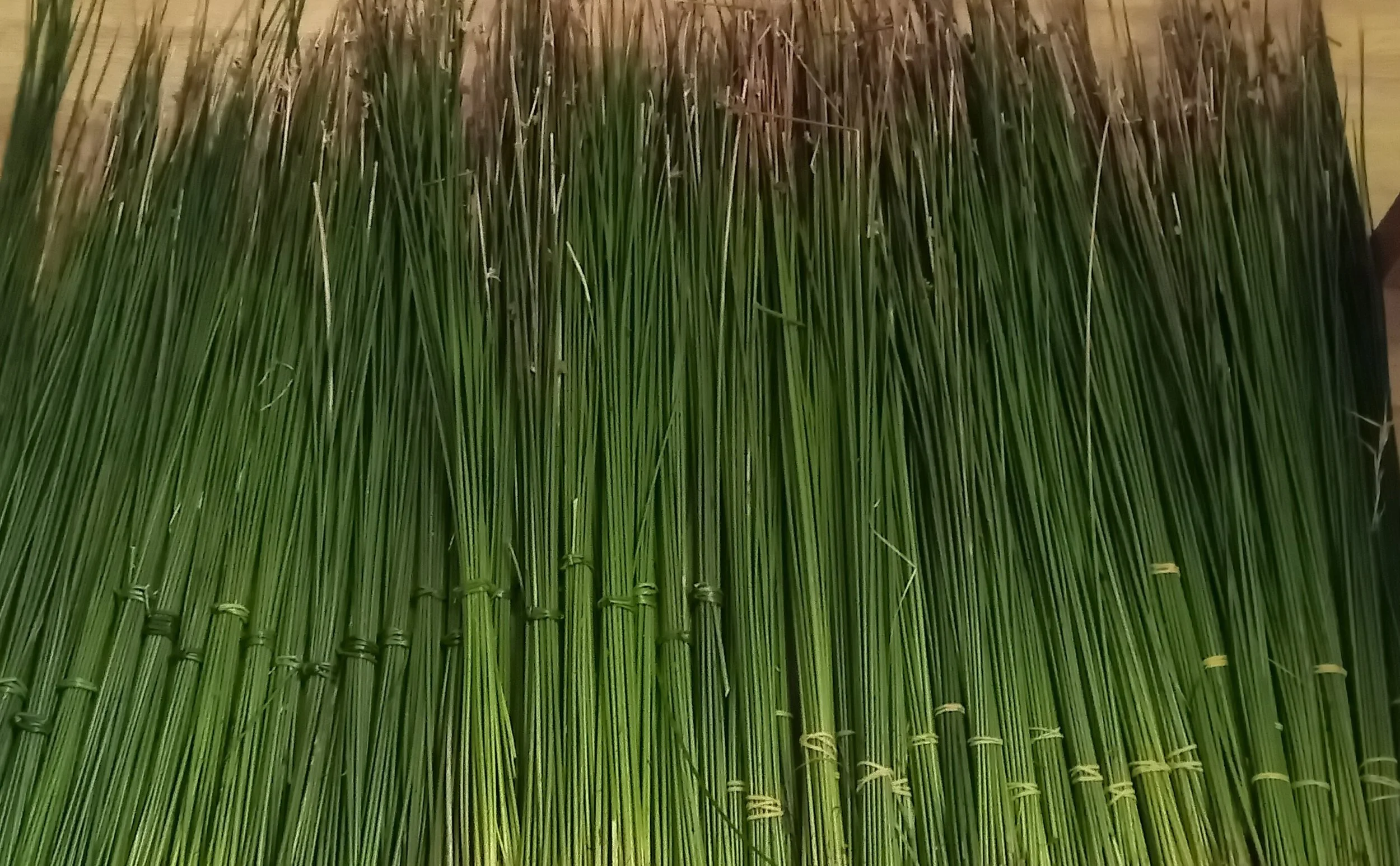 St Brigid Cross Making - Athy 
