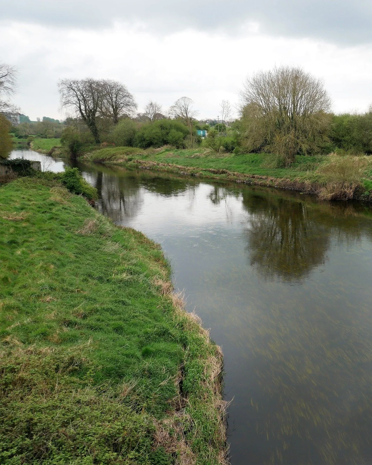 Spring has arrived in Kildare 🌼

Longer days, fresh air, and the perfect excuse to get outdoors.

Take a walk along the waterways, explore the forests, or follow one of our free trails around town &mdash; from the Acorn Trail for little explorers to