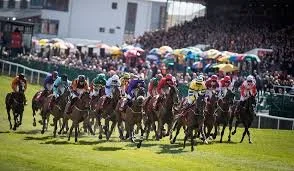 Photo from Punchestown, large group of horses and their very colourful jockeys are mid race, the crowd stand behing if full of people with many coulorful unberellas, sun is shining , grass is green , an air of excitment fills the air.