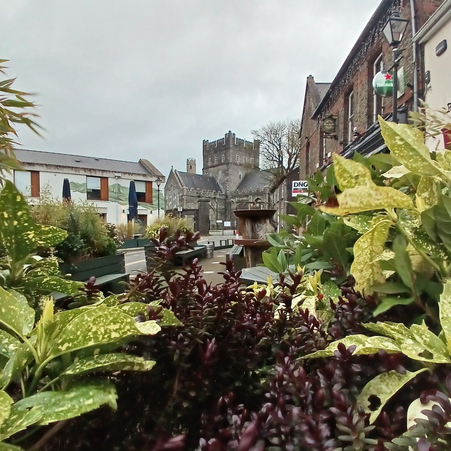 Tomorrow is the 1st of May and St Brigid,s Cathedral and Ireland,s highest Accessible Round Tower re-open .
On Saturday 2nd may at 11.30am our walking tours of one of Ireland's oldest Towns start from outside the Heritage Centre. See you then.
Please