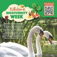 Biodiversity Week Kildare
