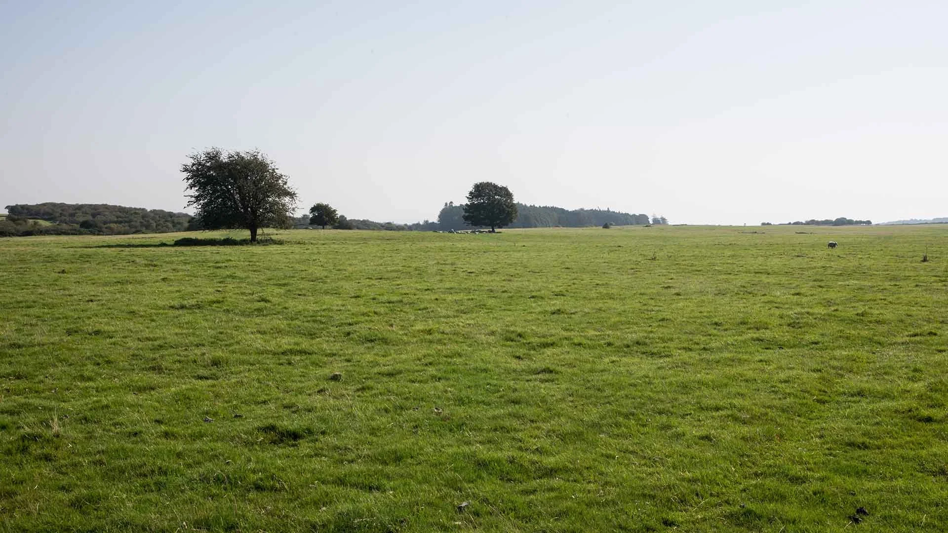 Step into the footsteps of tradition this June.

 🌿Solas Bhr&iacute;de invite you to join them for a special 7km guided pilgrim walk across the historic Curragh plains. 

Together, we will trace the edges of this ancient landscape, connect with comm