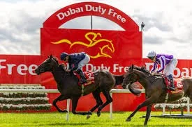Photo of 2 horses racing past the Dubai Duty Free sign in the racecourse