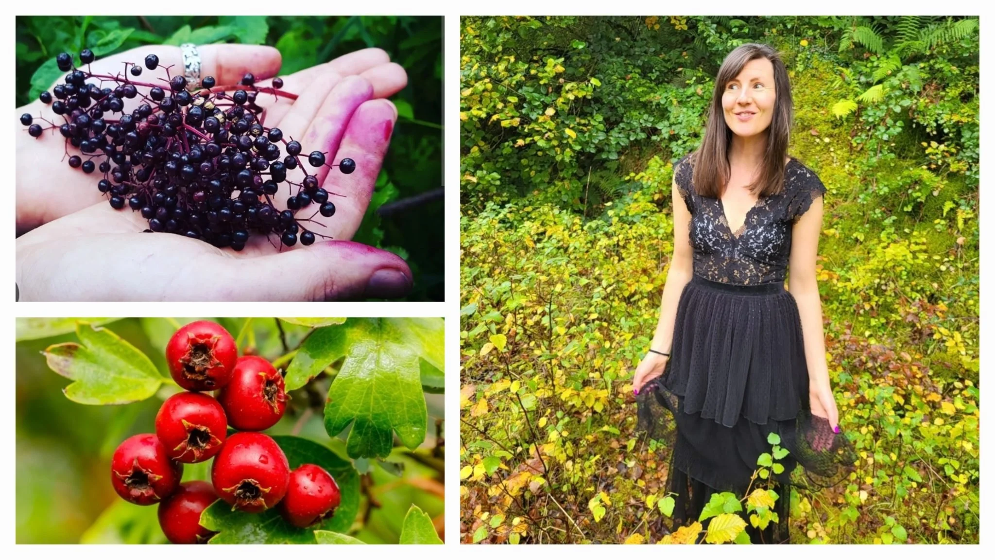 Autumn Canal Hedegrow Forage Walk with Aisling Moore