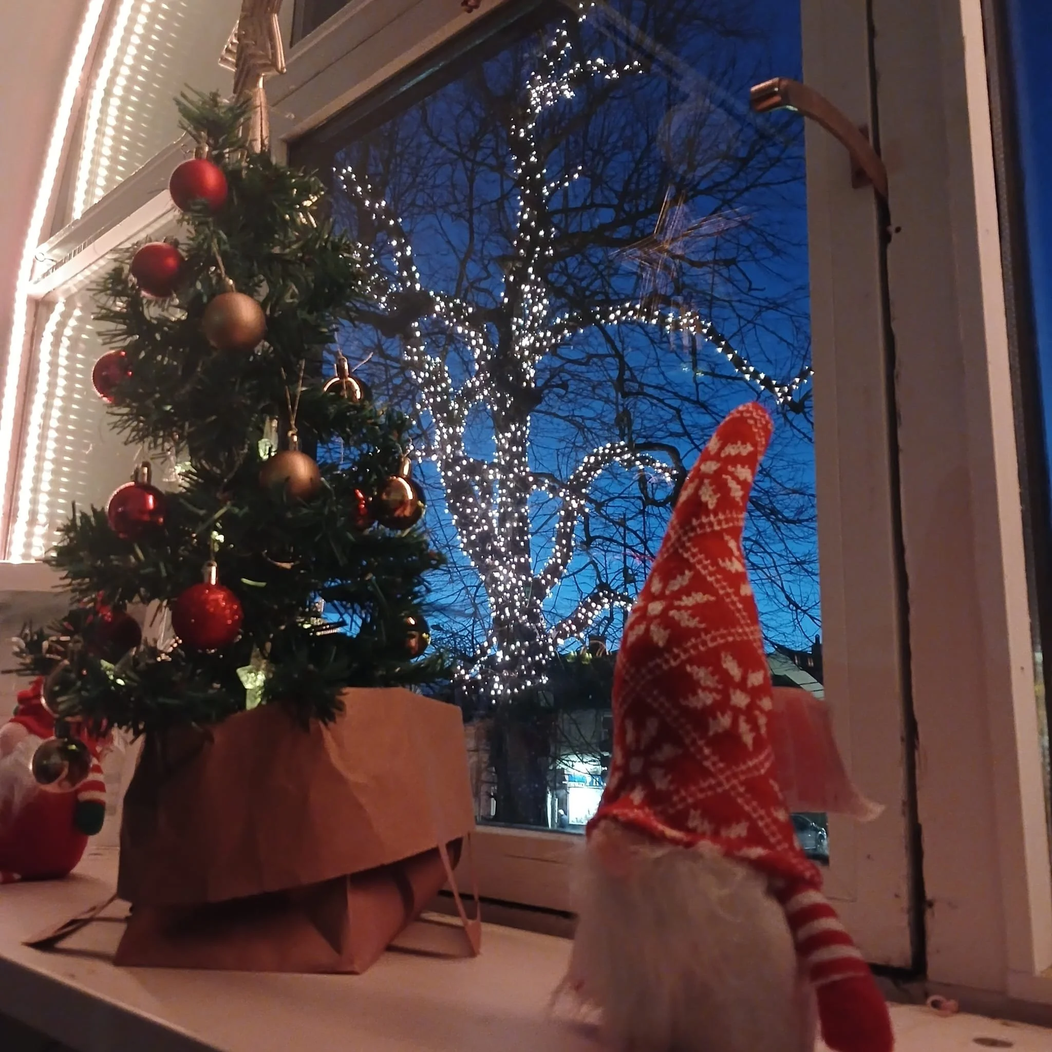 Photo of Kildare tree light up in background with mini tree decorated in gold and red and a red and white Christmas gnome