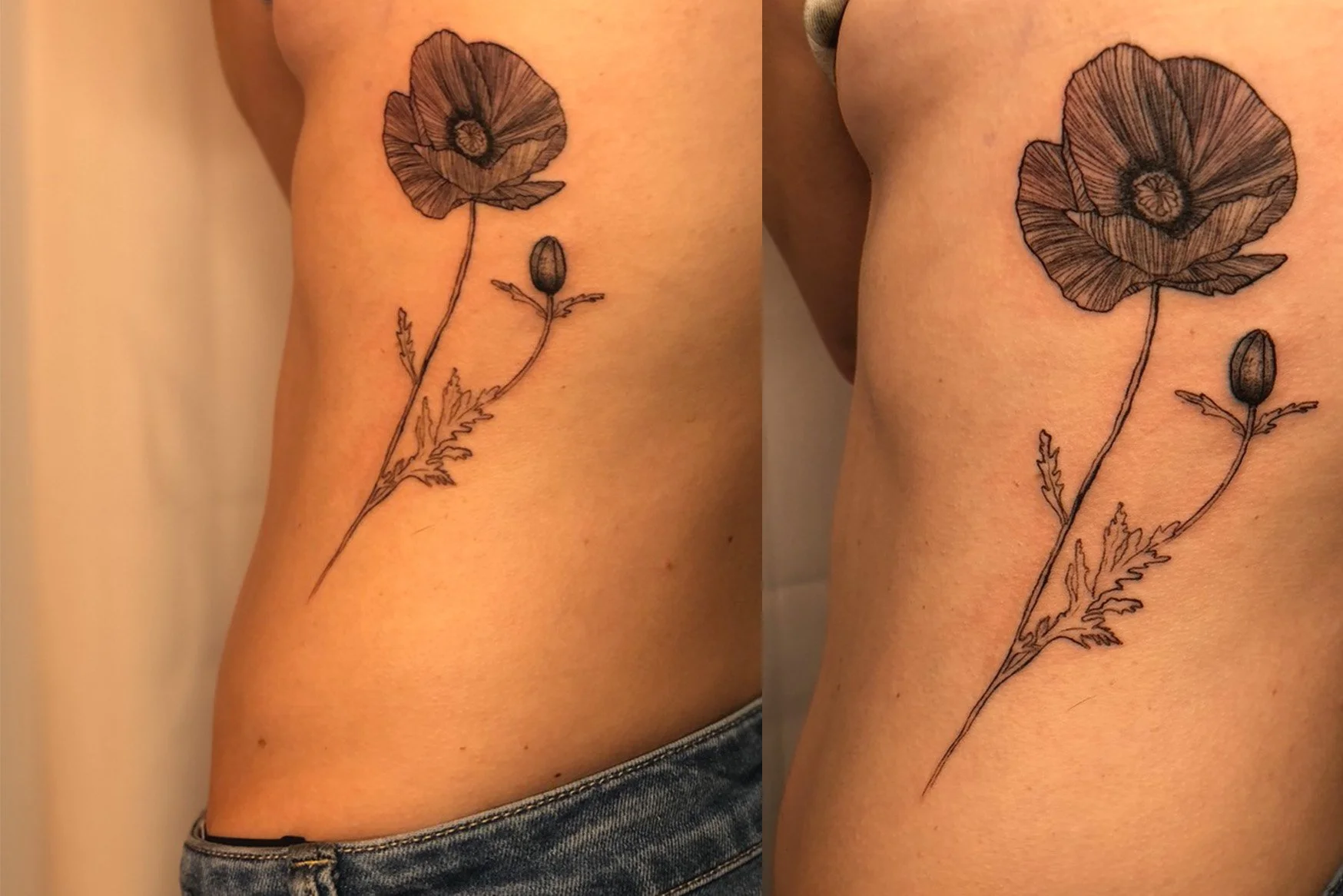 mohnblume.jpg