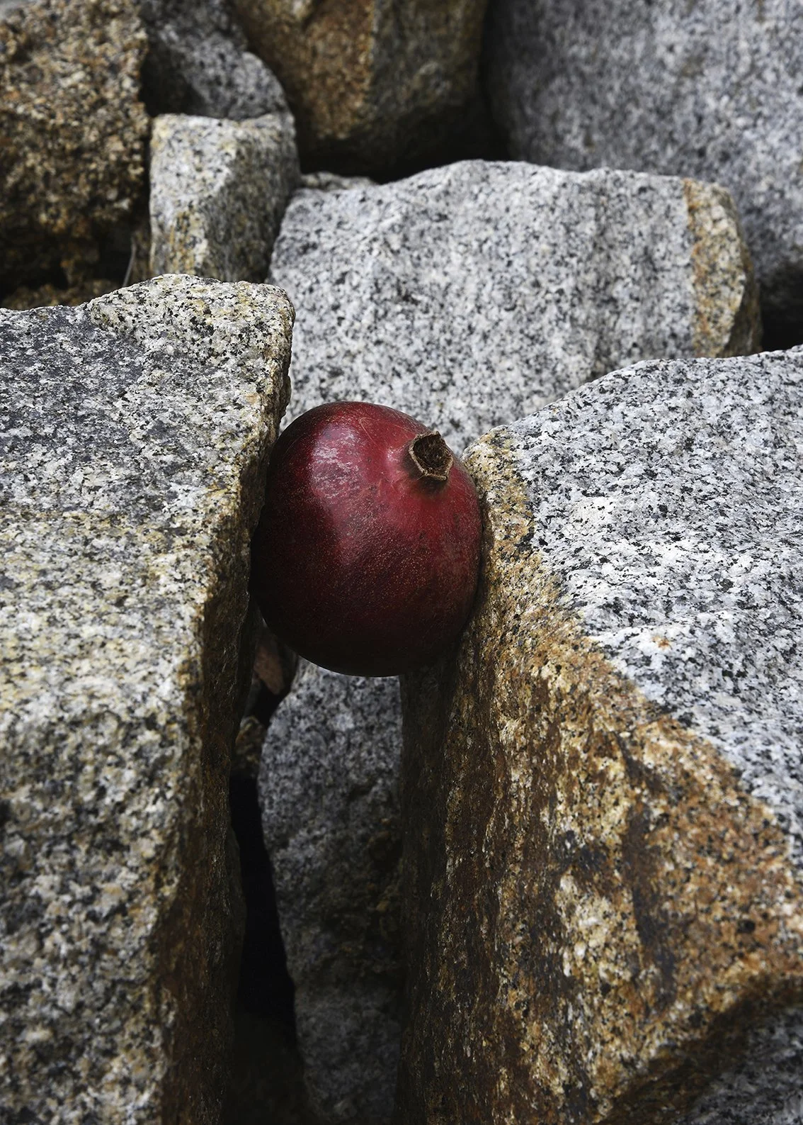 Untitled (stones #2).jpg