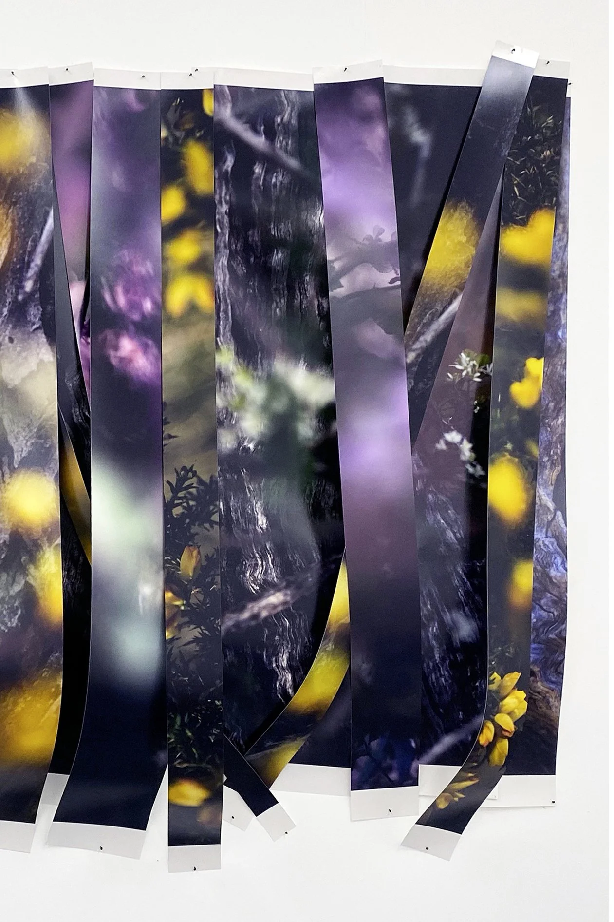 Untitled (stumps)_Right.jpg