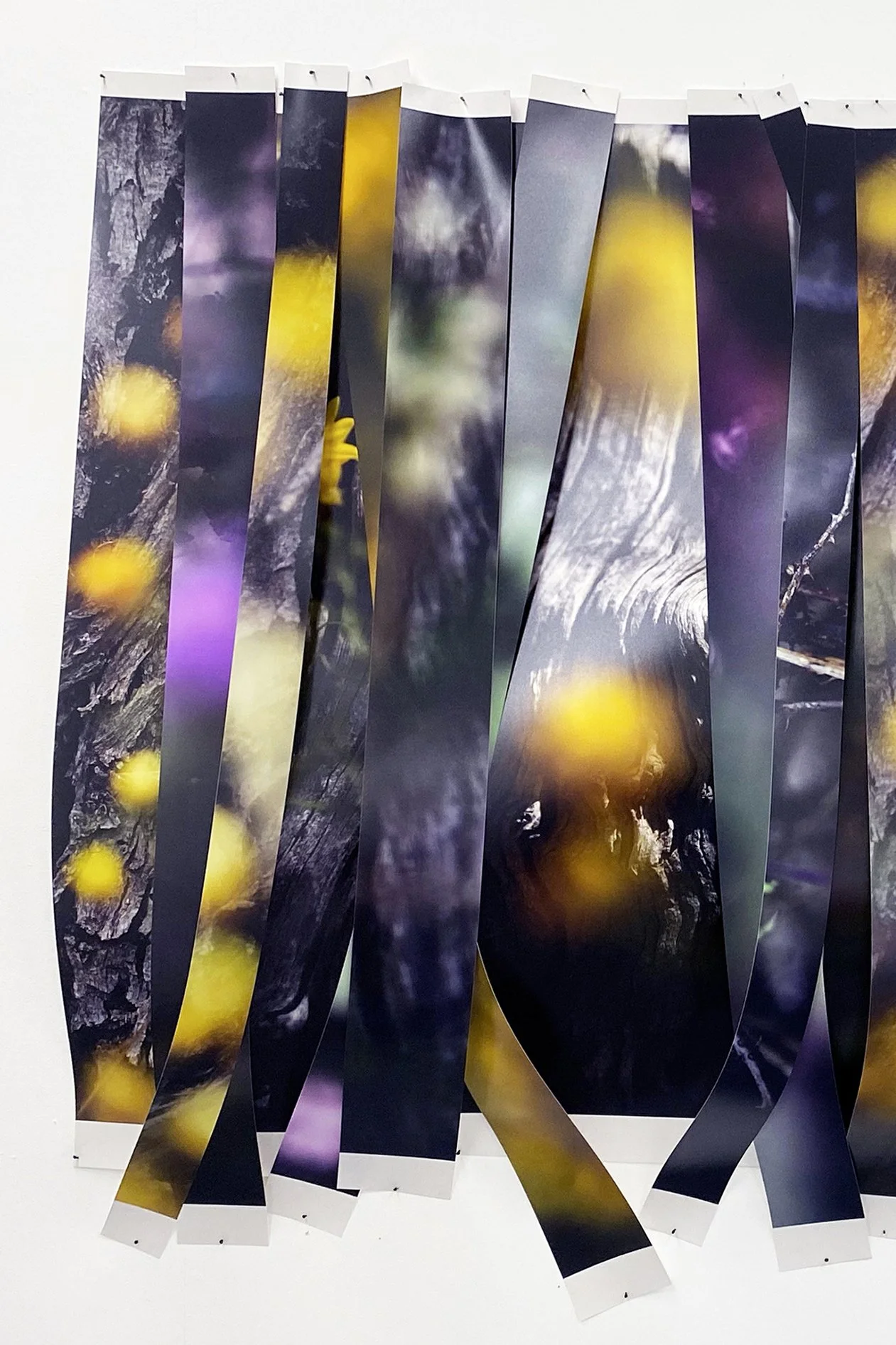 Untitled (stumps)_Left.jpg