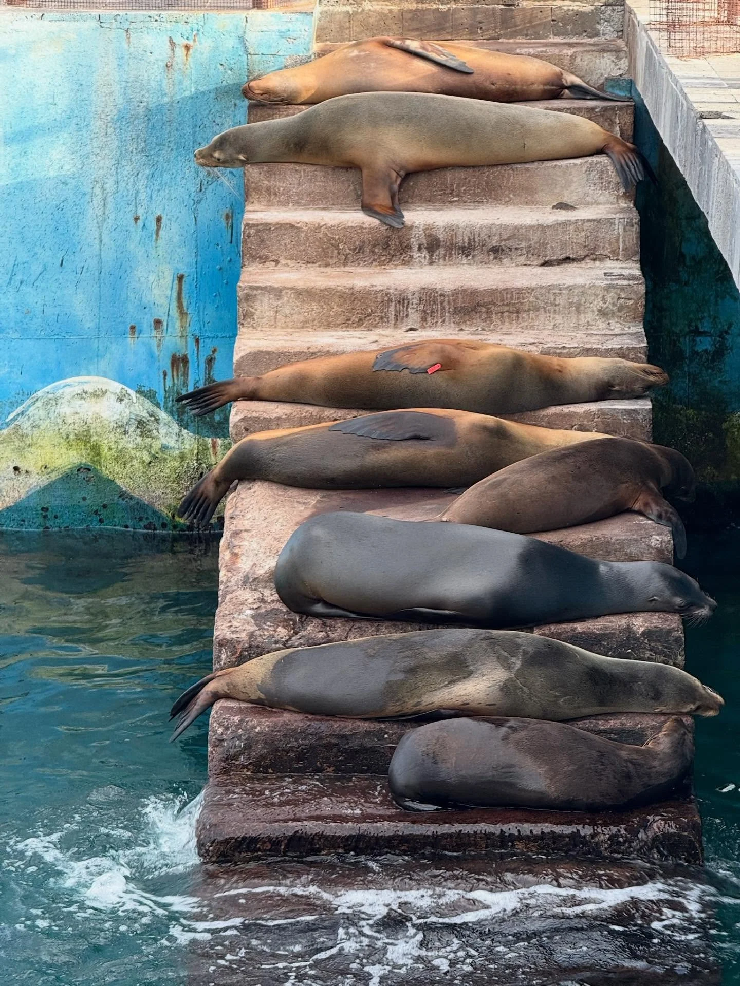 galapagos sunday stack

#travelphotography #galapagos #quietmoments #visualnotes #dlbrtdltnts