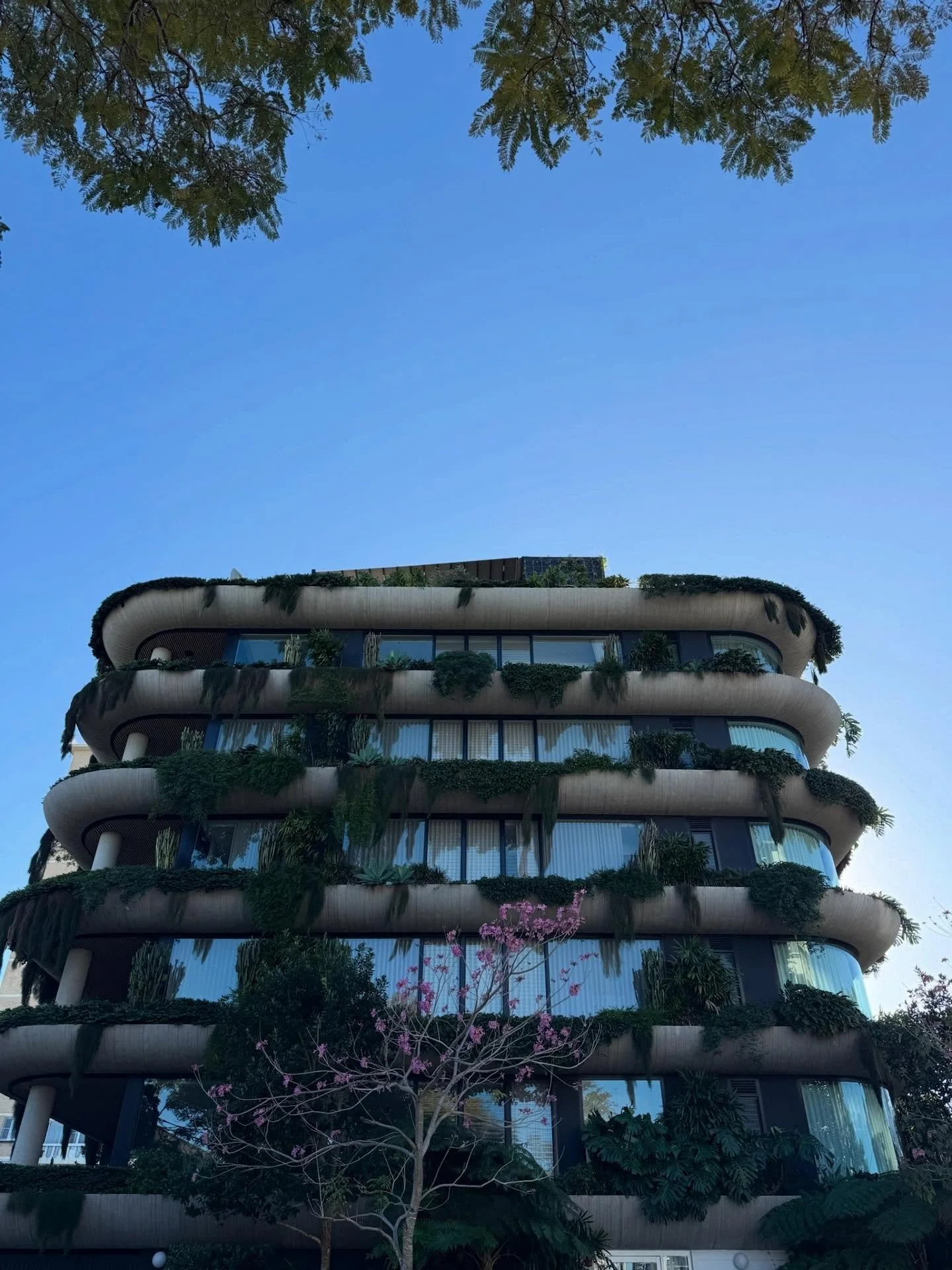 the most underrated view in any city

#streetphotography #architecturephotography #blueskies #everydayaesthetics #dlbrtdltnts