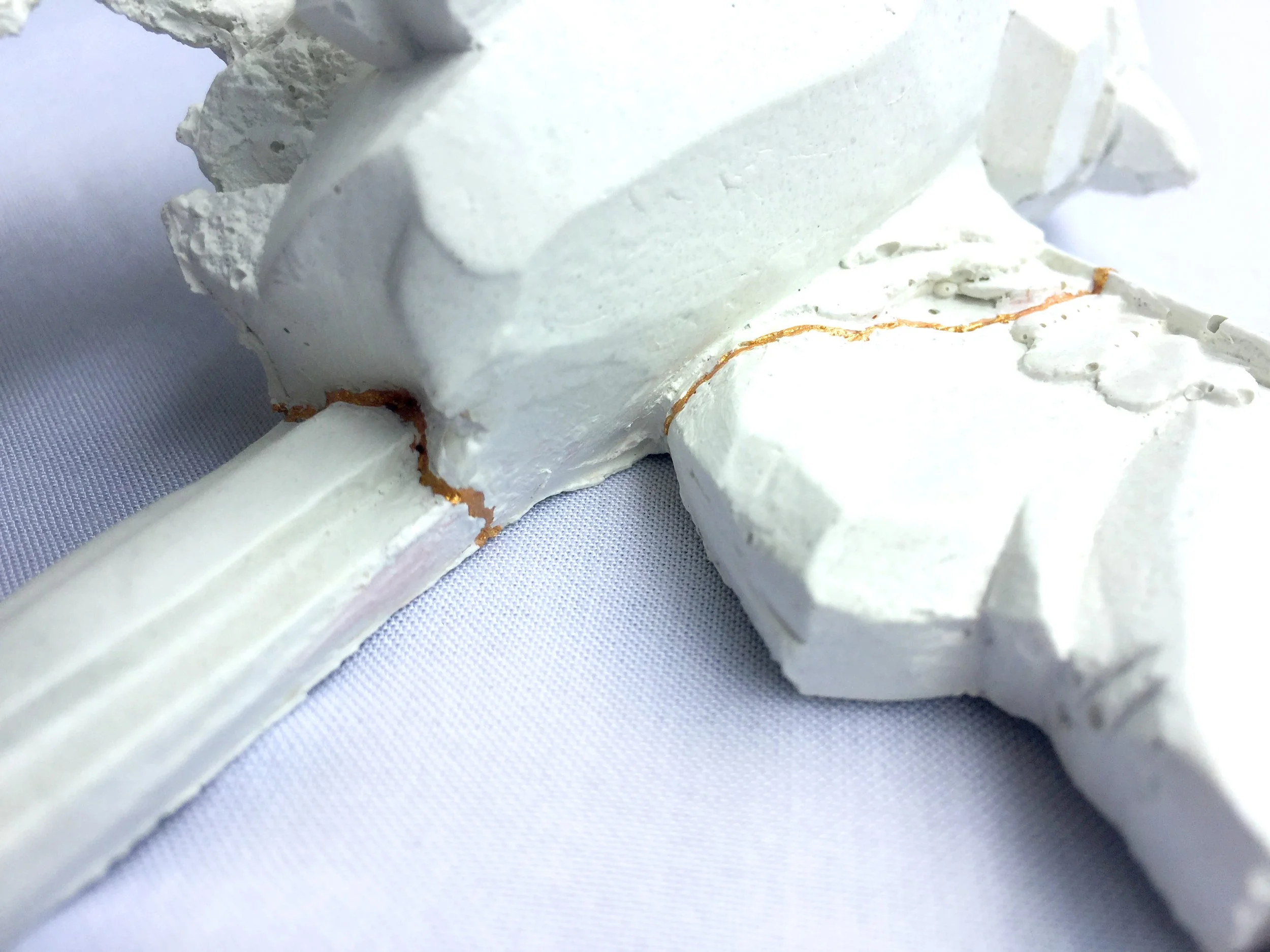 gold bird_fullwingtail004.jpeg