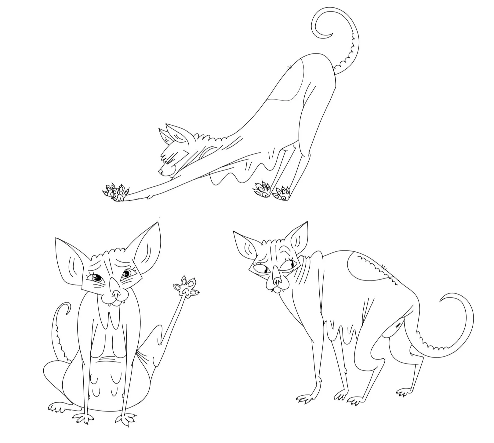 SPRINKLES Cat001.jpg