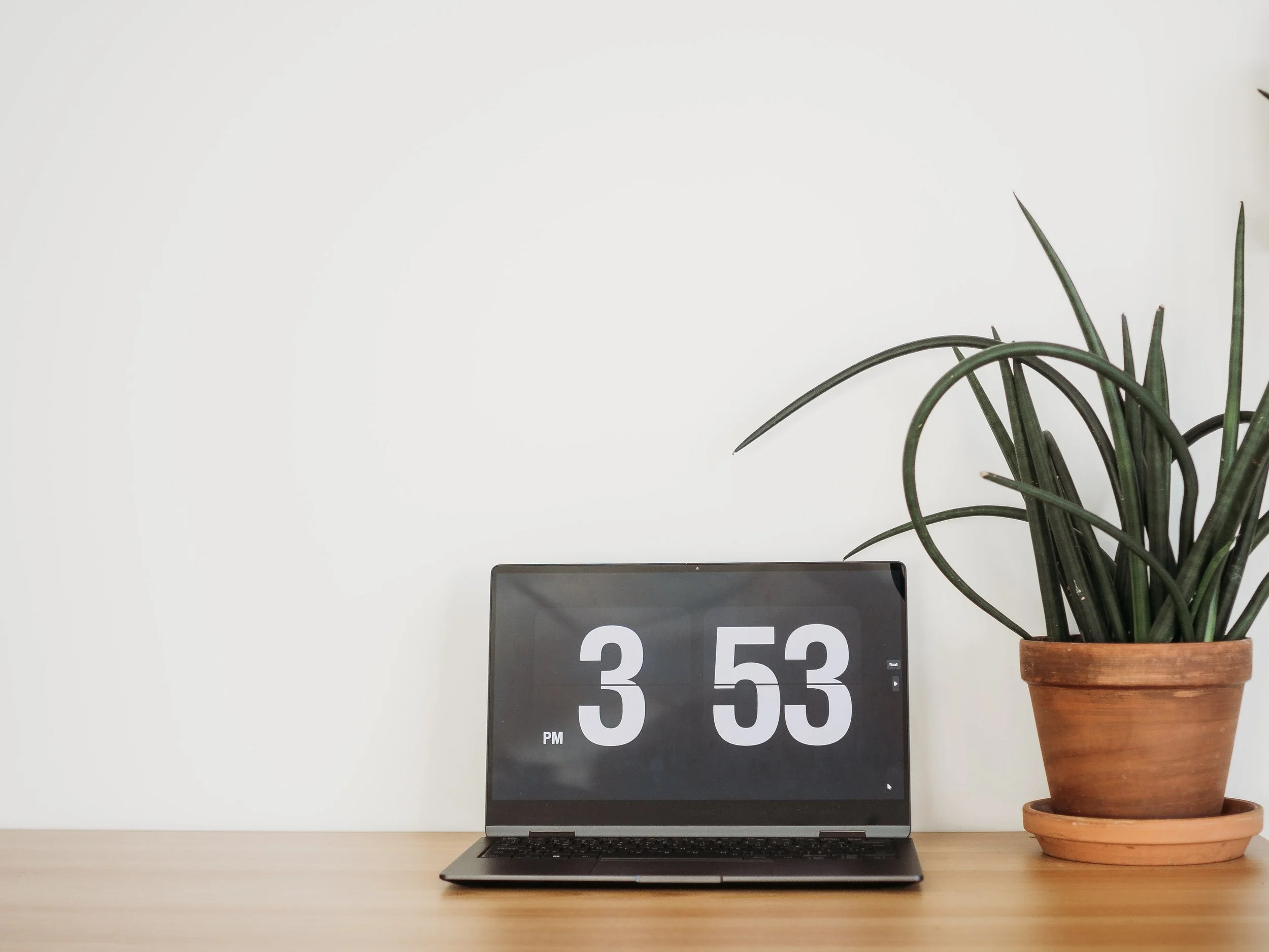 Laptop displaying the time 3:53 PM next to a potted plant on a wooden desk with a white wall background.