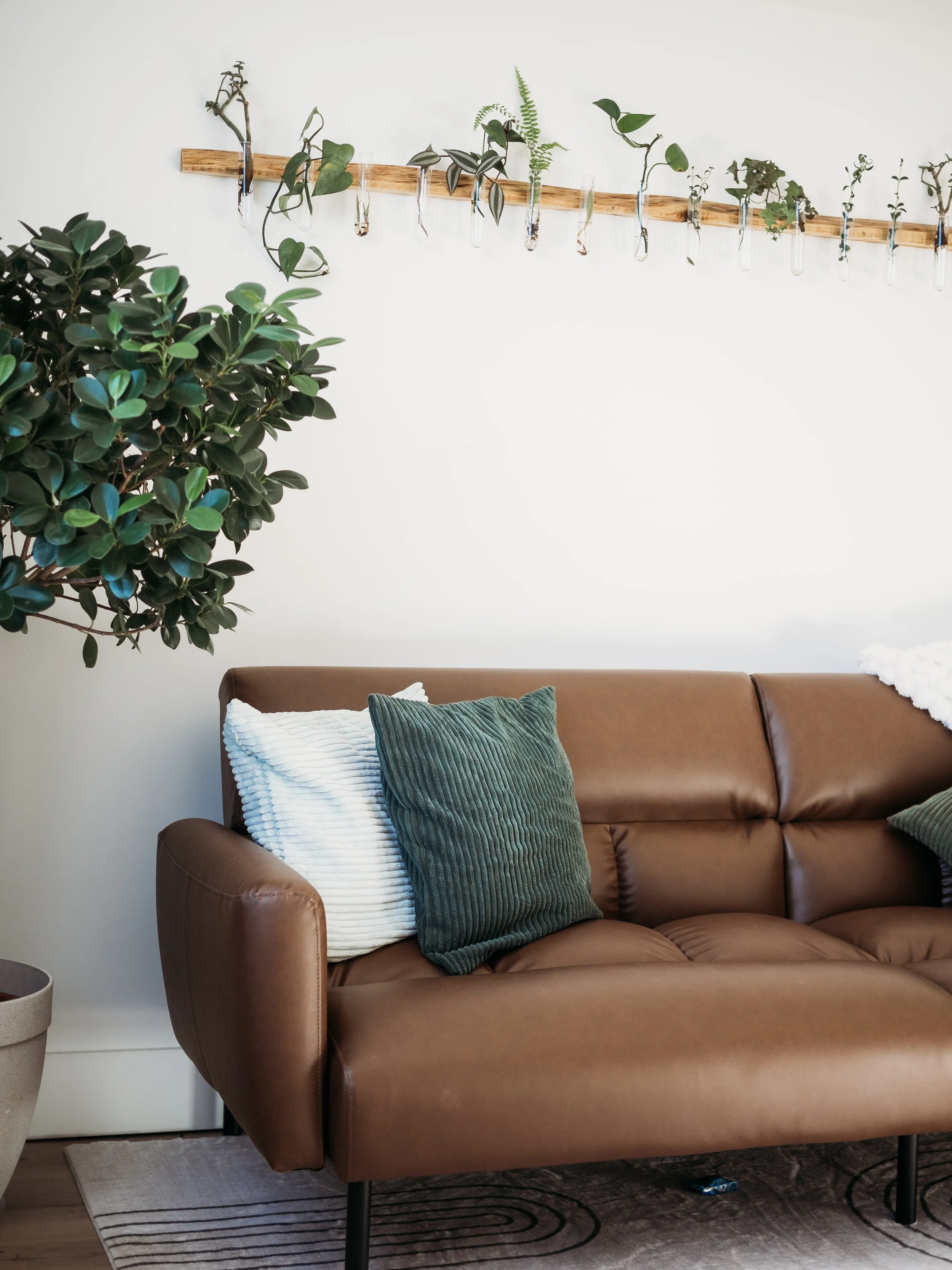 Living room with a brown leather sofa, green and white pillows, a large potted plant, and a wooden wall-mounted plant holder with various plants in test tubes.