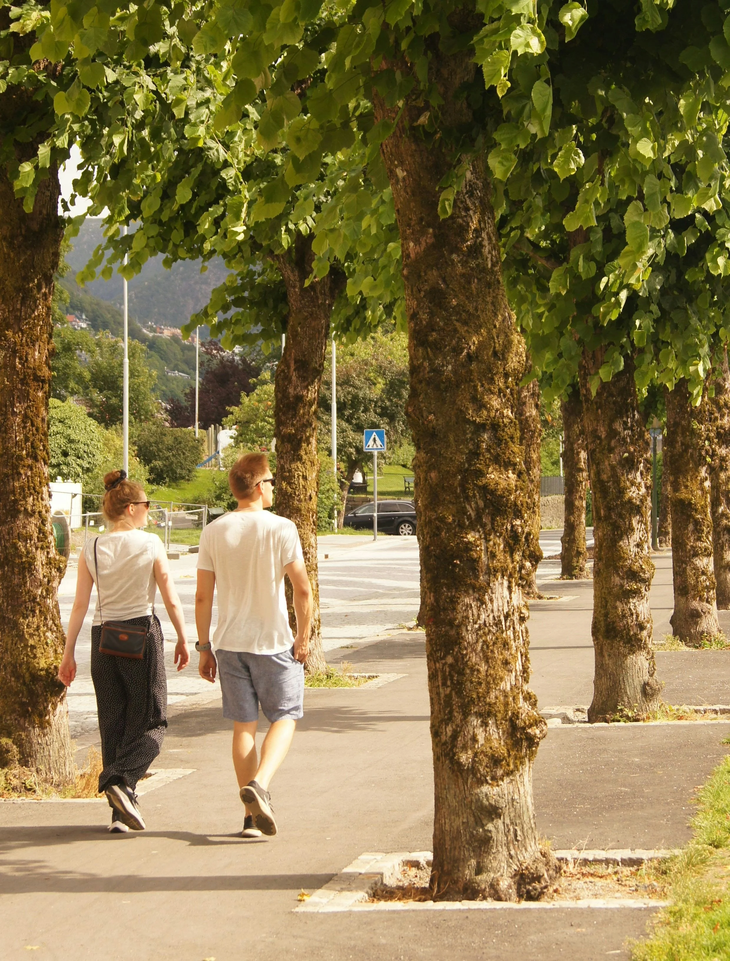 Two people walking on a sidewalk lined with large trees in a suburban area on a sunny day.