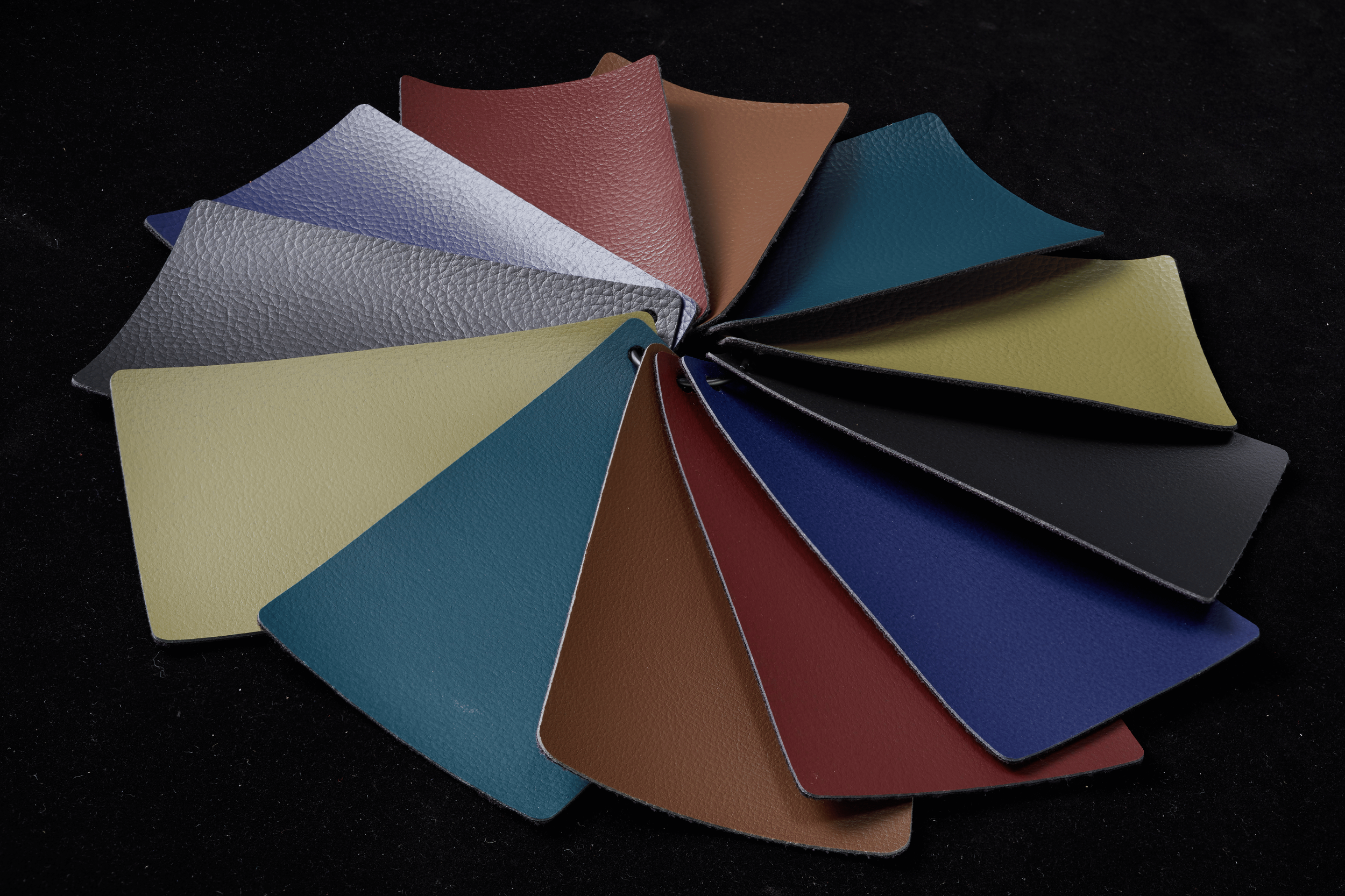 ELEVATE Signature Colors (1).png