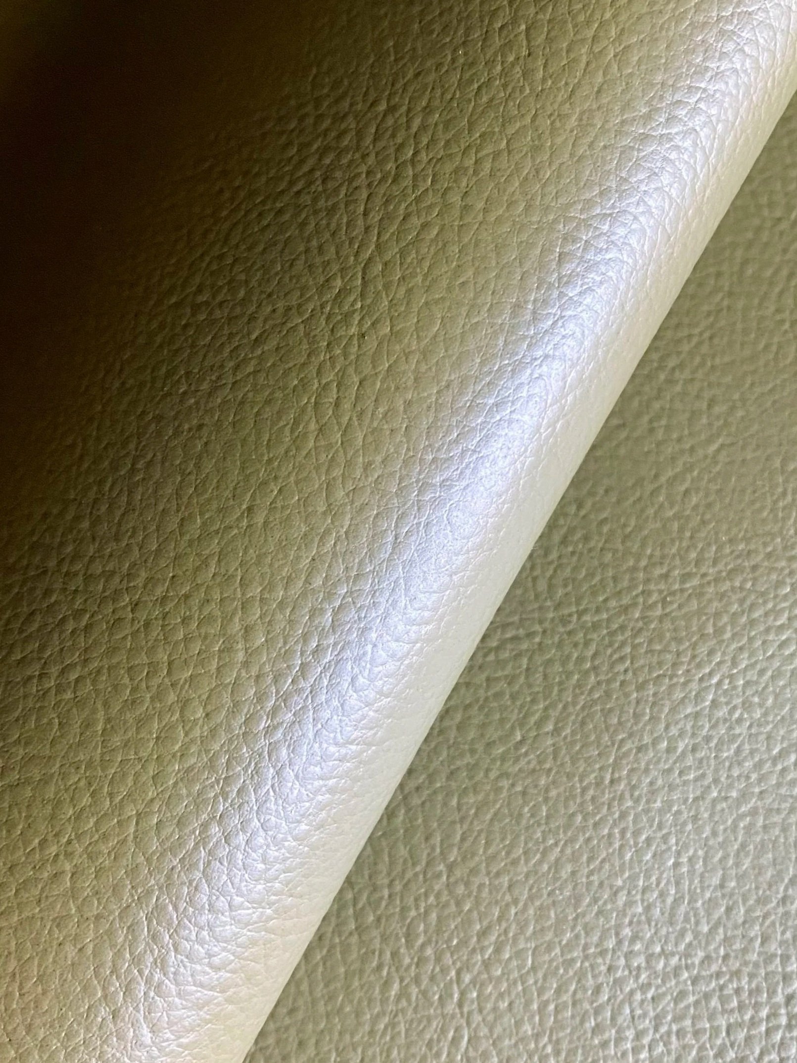 Close-up of a textured beige leather surface.