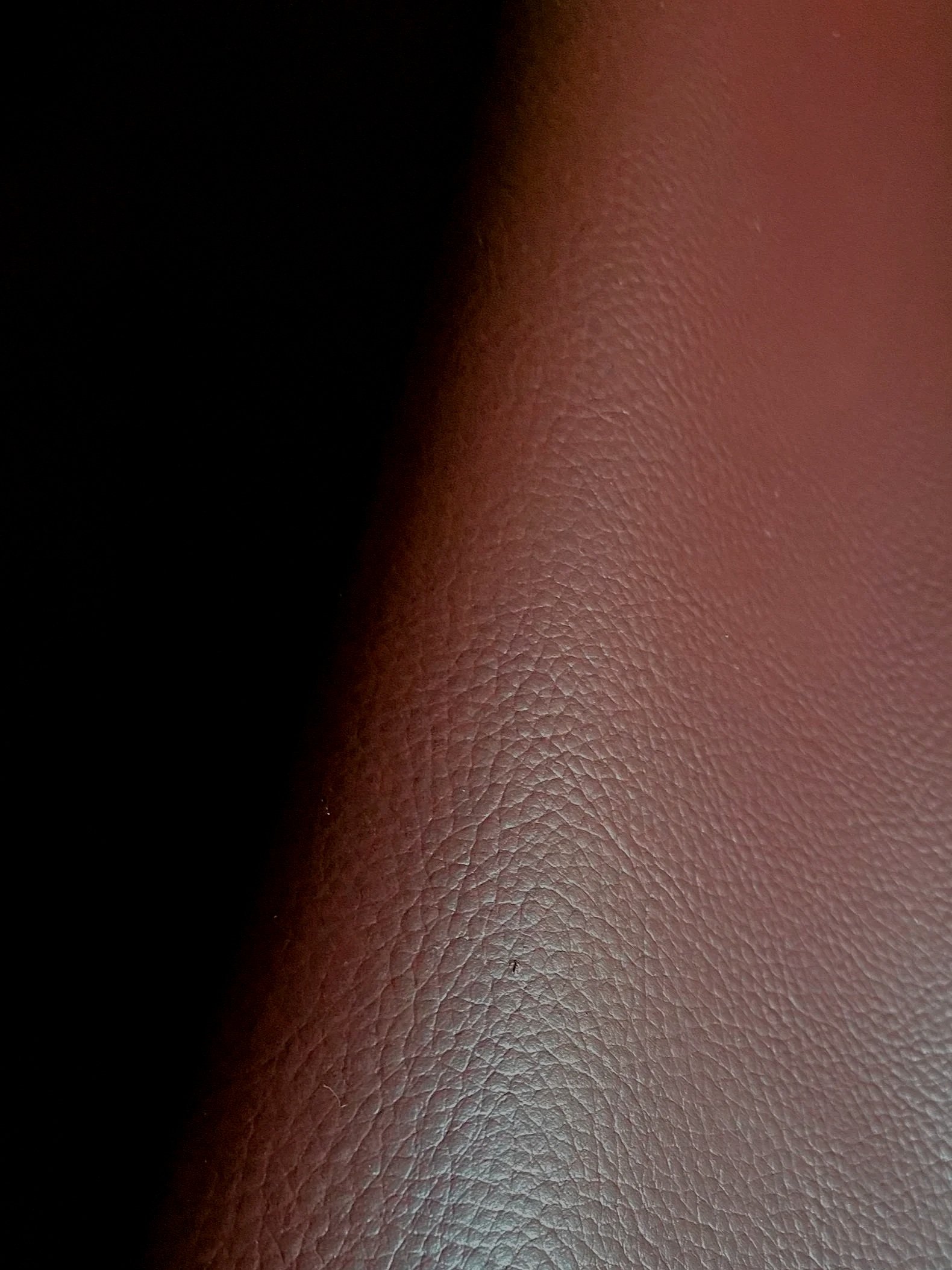 A braun Elevate™ is an innovative bio-based leather alternative developed by Uncaged Innovations.
