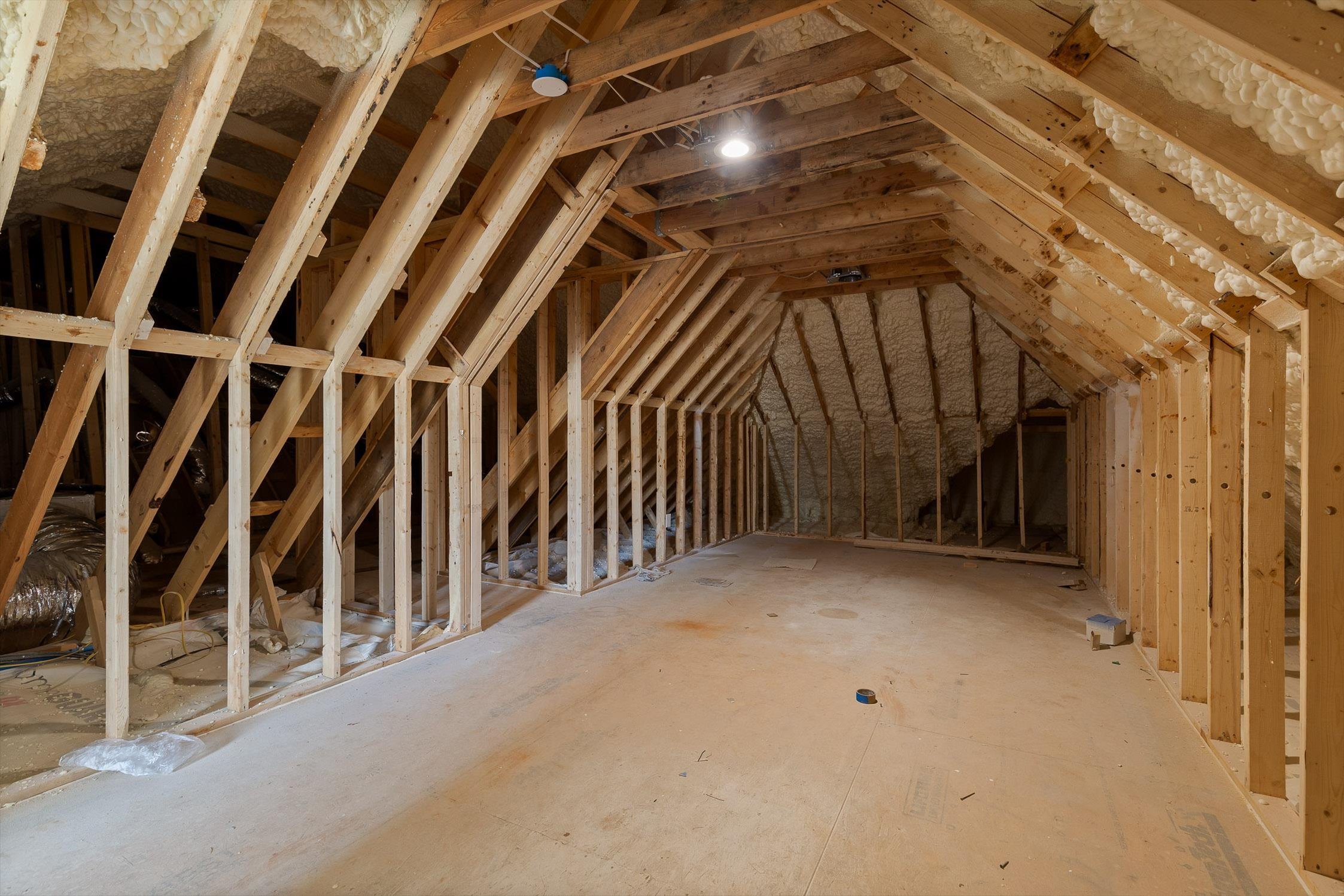 54-Mountain Laurel-54.jpg