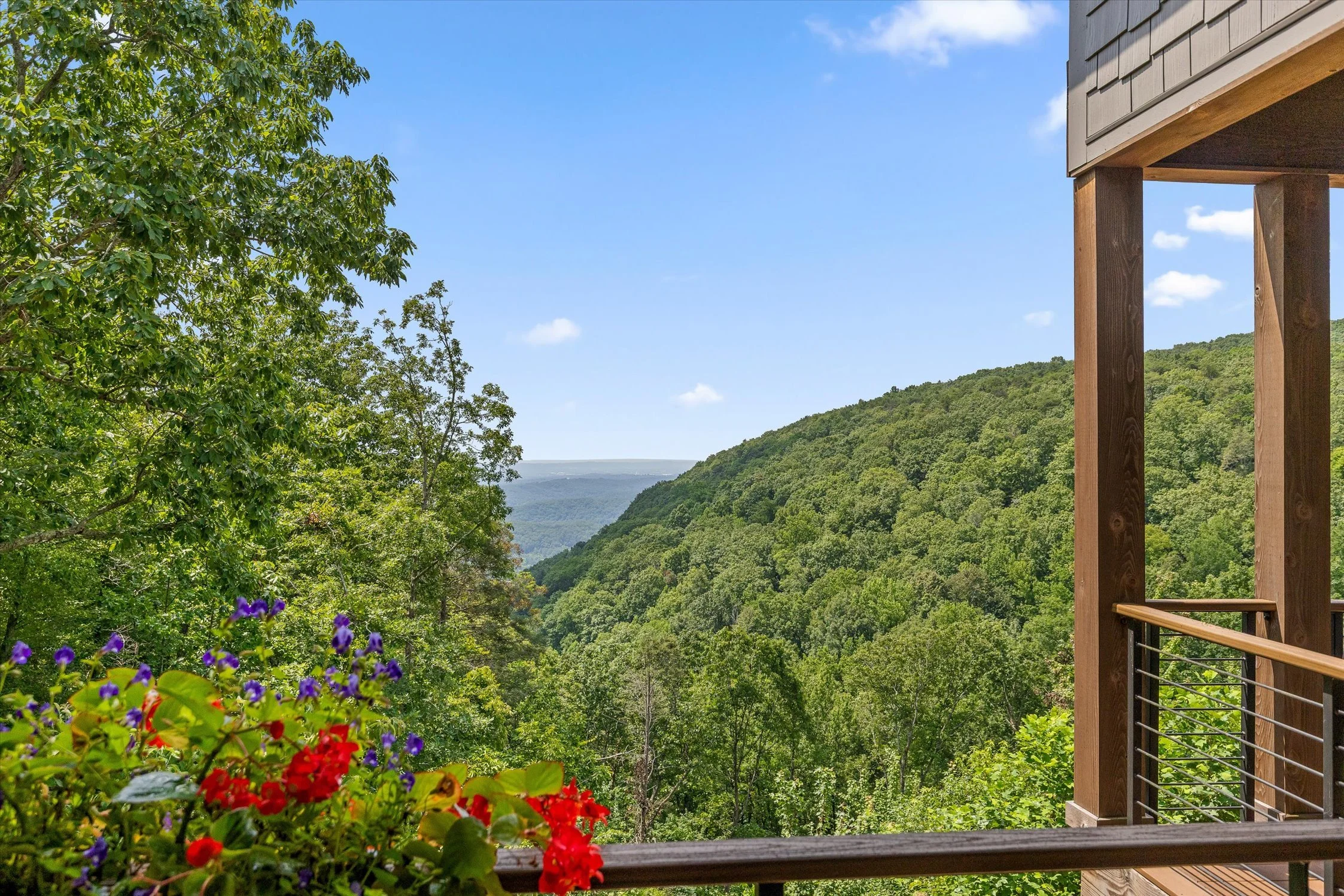 06-Mountain Laurel Trail-6.jpg