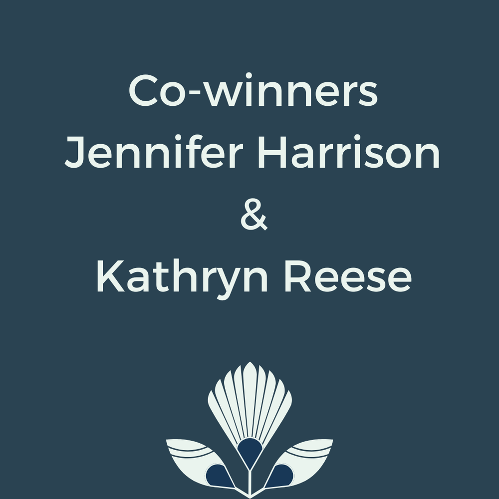prize-writing-the-heroine