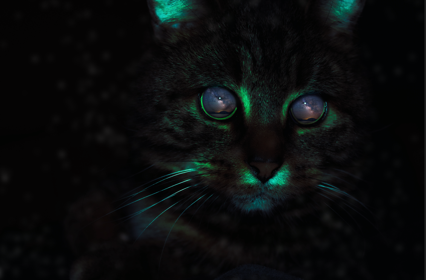 Screenshot 2024-06-11 193544.png