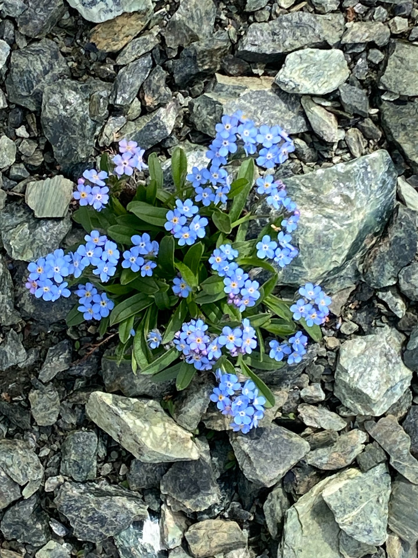 image00201.jpg
