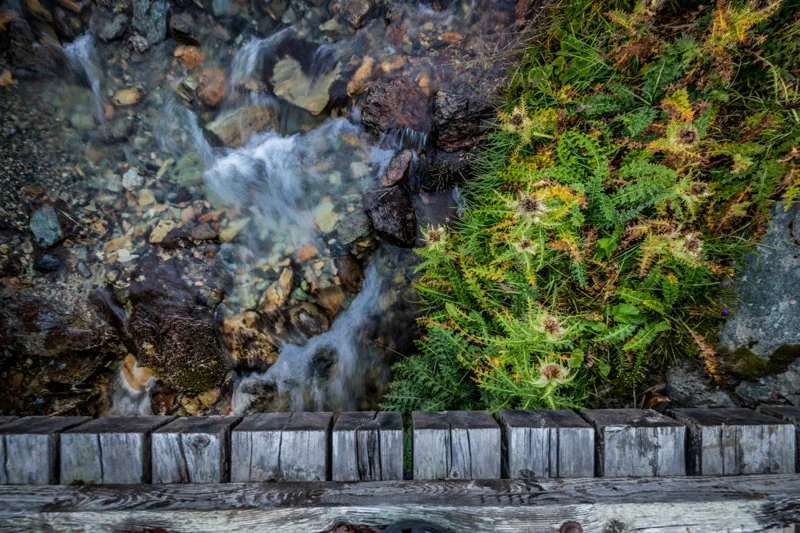 by caroline staeger photography - 08152025 - WaterLovePeace - 057.jpg