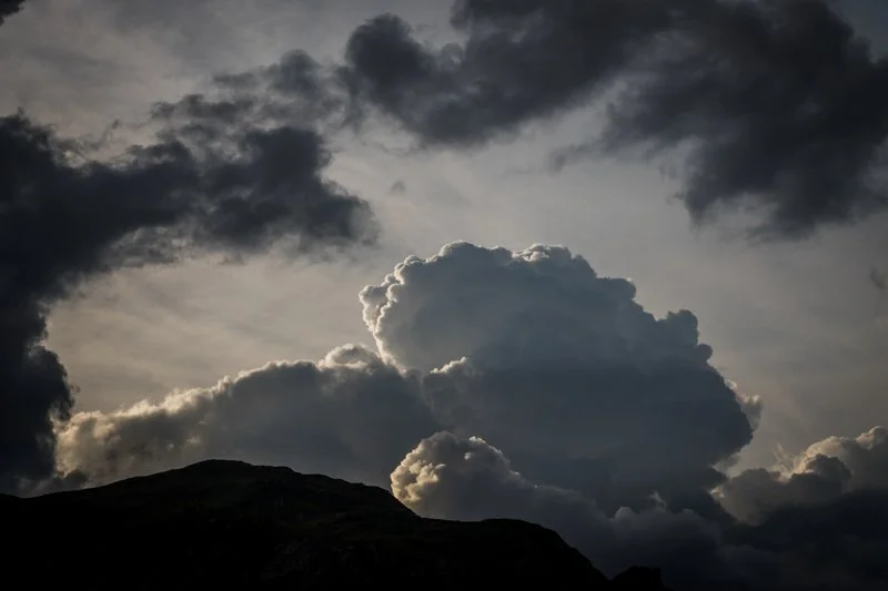 by caroline staeger photography - 08152025 - WaterLovePeace - 192.jpg
